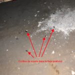 Crottes de rongeurs dans un faux-plafond d'appartement à Puteaux dans les Hauts-de-Seine, signal d'une intervention d'urgence souris