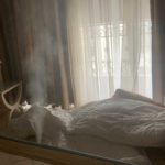 intervention dans une chambre pour lutter contre les punaises de lit